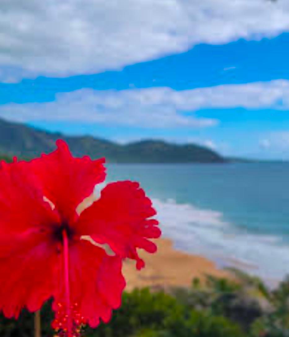 Puerto Rico Flamboyant y Playa